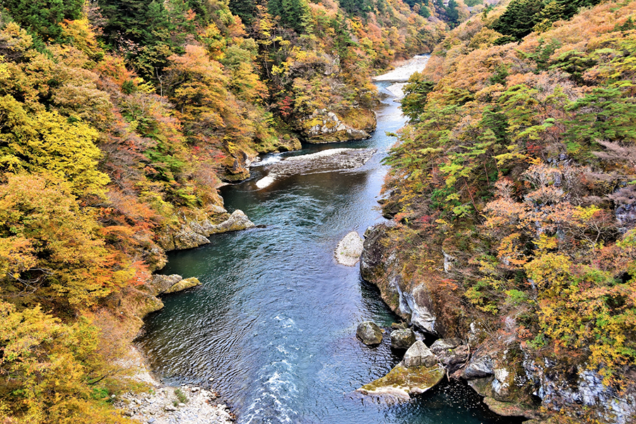 栃木