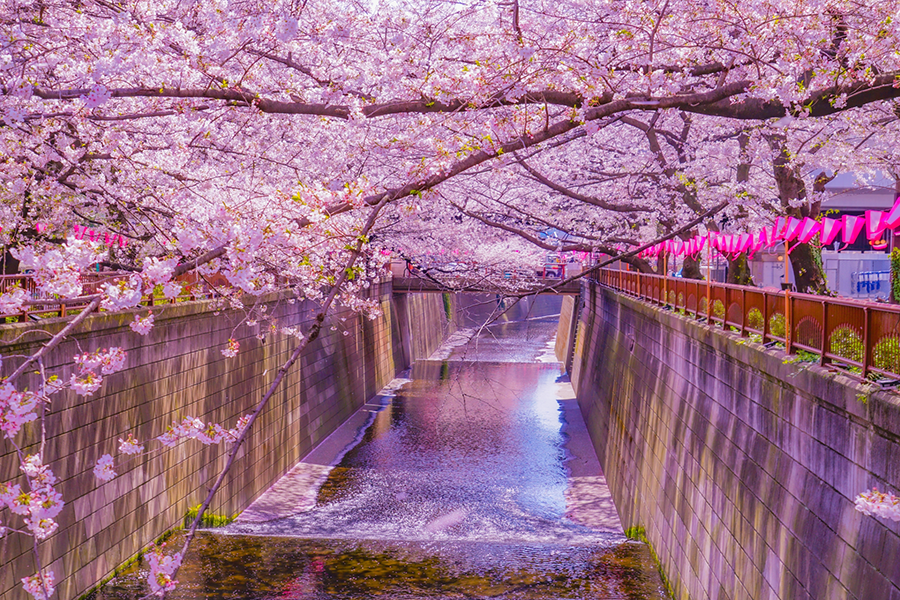 4月の見どころ