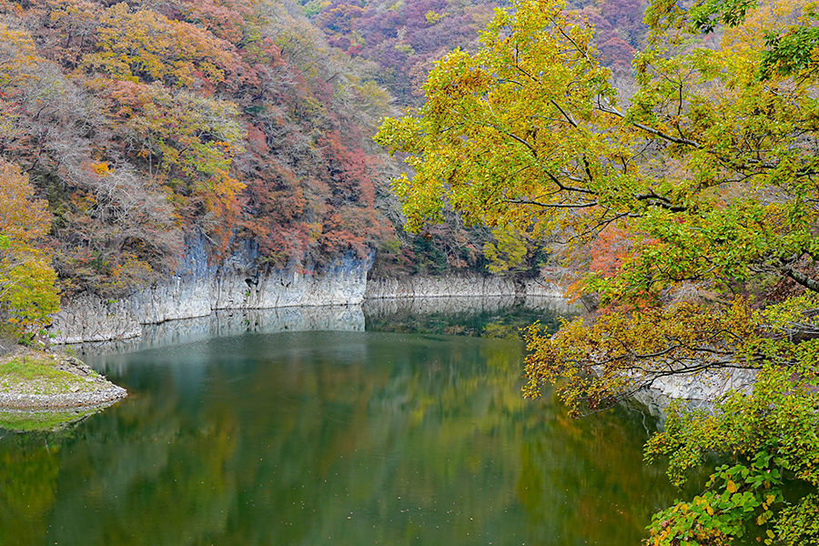 10月の見どころ